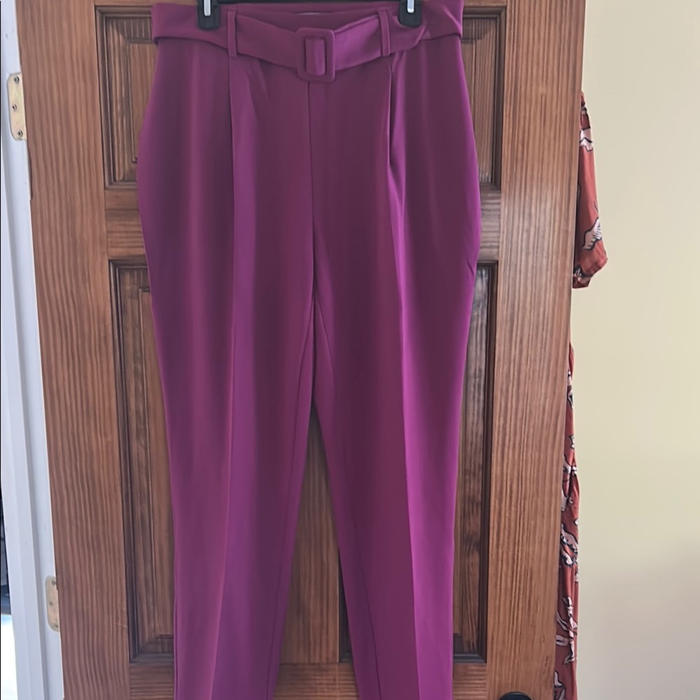 Elegant Magenta NYCC Women's Pants-Size 12 Never Worn